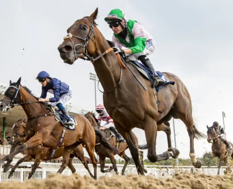 a horse race in action for our Horse Racing page 